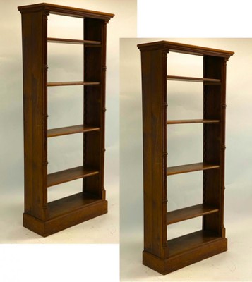 French 40s Neo classic pair of narrow slender library