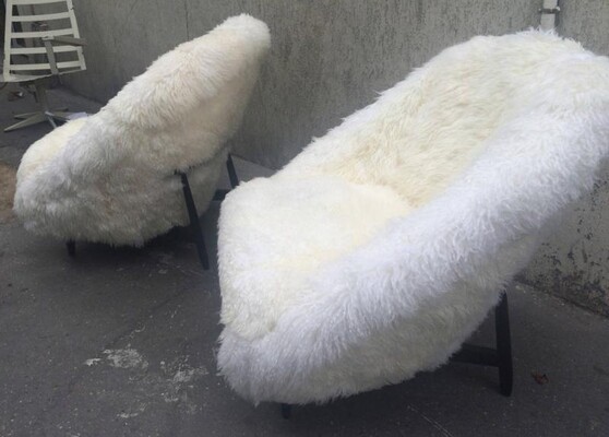 Theo Ruth for Artifort 1950s Chairs Covered in Sheep Fur