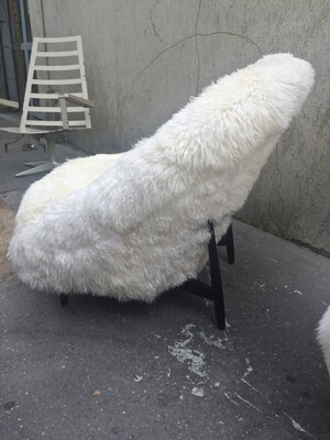 Theo Ruth for Artifort 1950s Chairs Covered in Sheep Fur